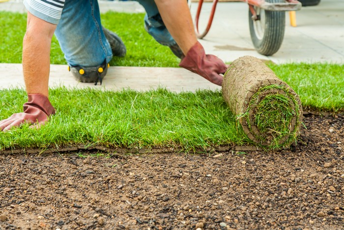 Landscapers-Seattle-WA