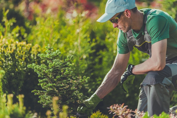 Landscaping-Renton-WA