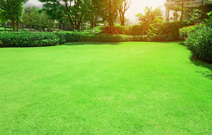 Commercial-Lawn-Care-Seattle-WA