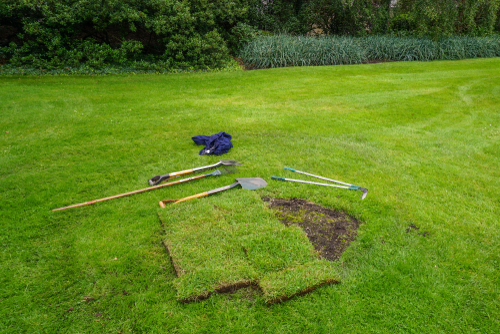 Lawn-Renovation-Seattle-WA