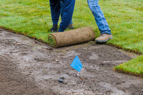 Sod-Installation-Seattle-WA