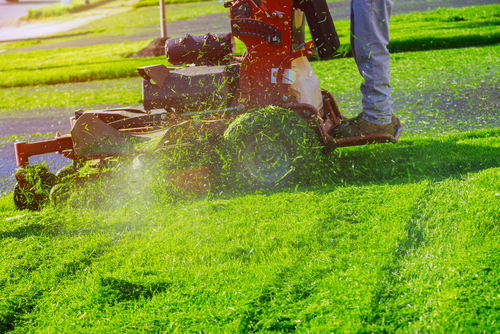 Front-Yard-Landscaping-Kirkland-WA