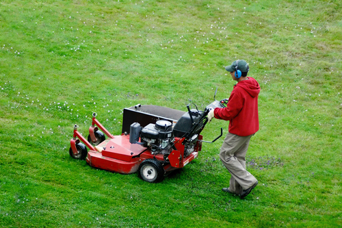 Grass-Cutting-Services-Auburn-WA