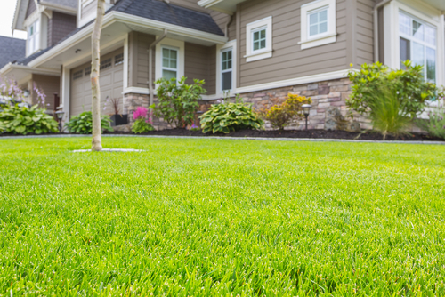 Residential-Lawn-Care-Auburn-WA