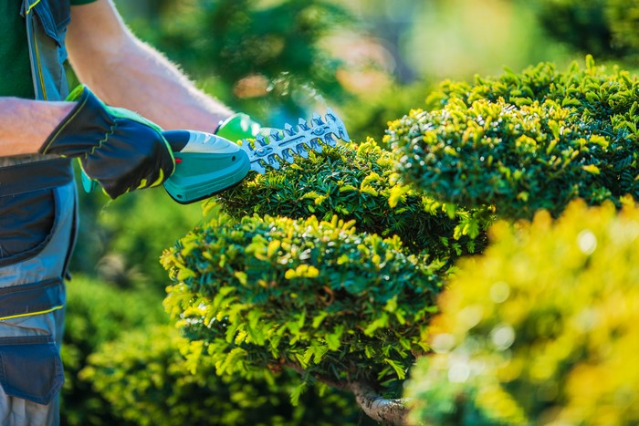 Landscaper-Lakewood-WA