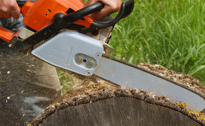 Fallen-Tree-Removal-Seattle-WA