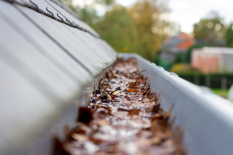 Gutter-Cleaning-Ballard-WA