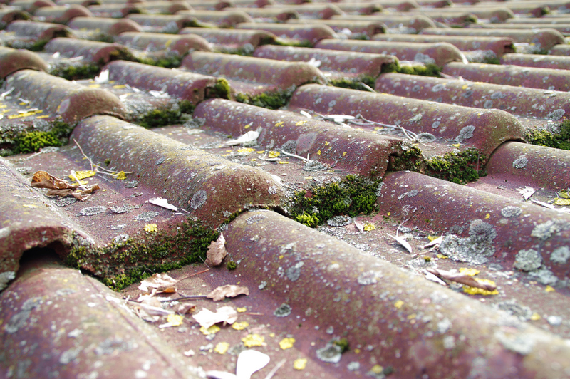 Moss-Roof-Cleaning-Ballard-WA