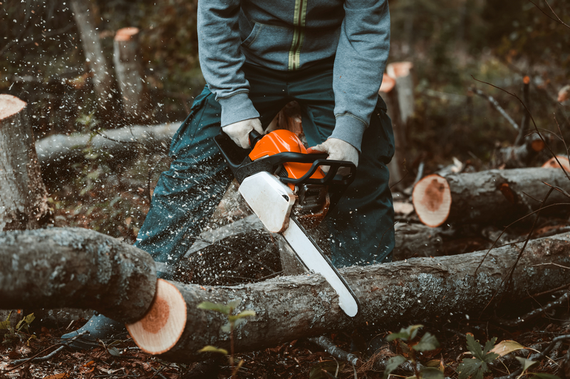 Tree-Removal-Company-Seattle-WA