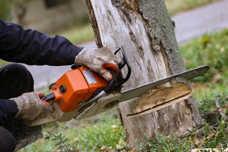 Tree-Removal-Seattle-WA