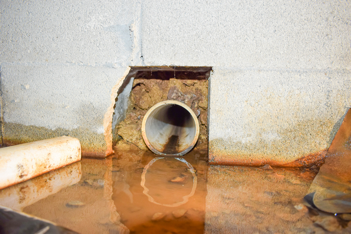 Water-In-Crawl-Space-Seattle-WA