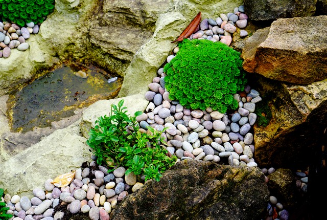 Rockery-Issaquah-WA