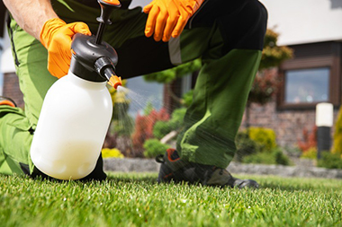 Pesticide-Bellevue-WA