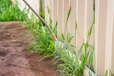Weed-Control-Service-Black-Diamond-WA
