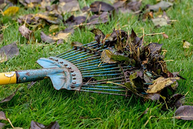 Yard-Debris-Removal-Kent-WA