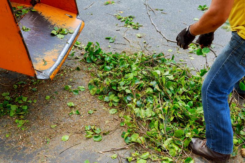 Yard-Waste-Removal-Bonney-Lake-WA
