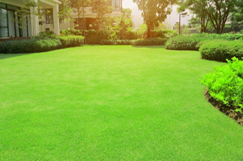 Expert Bonney Lake lawn care in WA near 98390