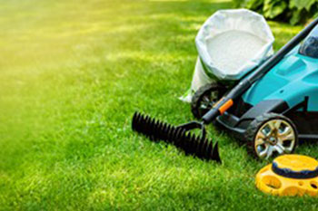 Outstanding Lakeland Hills lawn care in WA