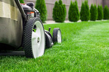 Buckley Lawn Maintenance Affordable Buckley lawn maintenance in WA near 98321