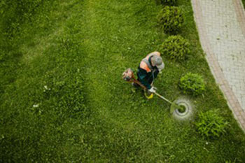 Outstanding Normandy Park lawn maintenance service in WA near 98166