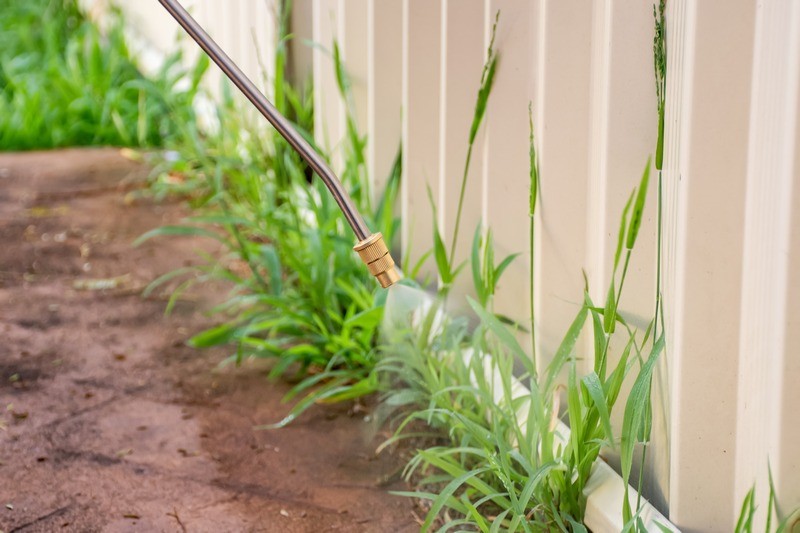 Weed-Control-Covington-WA