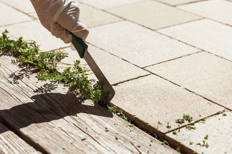 Weed-Control-Service-Des-Moines-WA